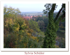 Sylvia Schler