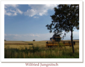 Wilfried Jungnitsch