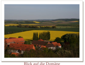 Blick auf die Domne