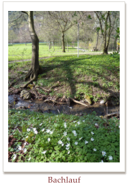 Bachlauf