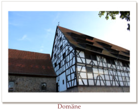 Domne