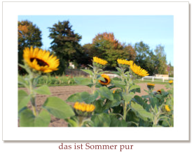 das ist Sommer pur