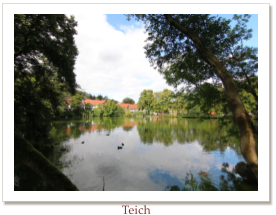 Teich