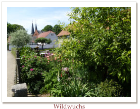 Wildwuchs
