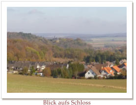 Blick aufs Schloss
