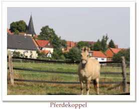 Pferdekoppel
