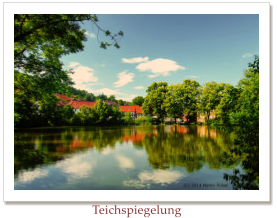 Teichspiegelung