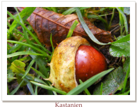 Kastanien