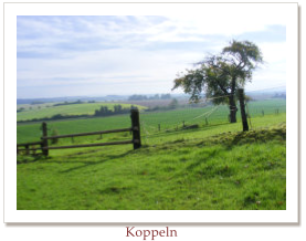Koppeln