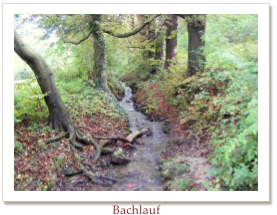 Bachlauf