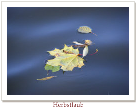 Herbstlaub