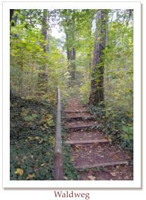 Waldweg