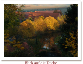 Blick auf die Teiche