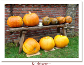 Krbisernte
