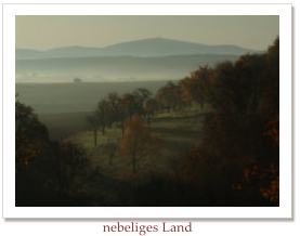 nebeliges Land