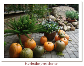 Herbstimpressionen