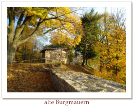 alte Burgmauern