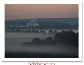 Nebelschwaden