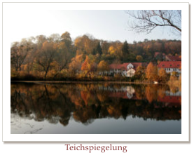 Teichspiegelung
