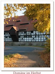 Domne im Herbst