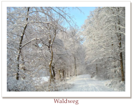 Waldweg