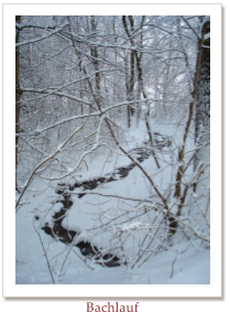 Bachlauf