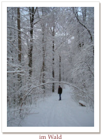 im Wald