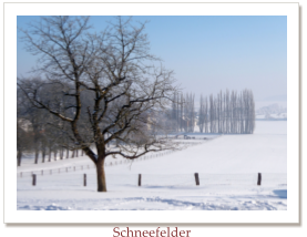 Schneefelder
