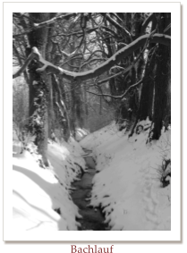 Bachlauf