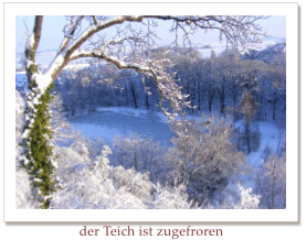 der Teich ist zugefroren
