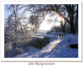 alte Burgruinen