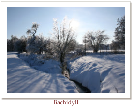 Bachidyll