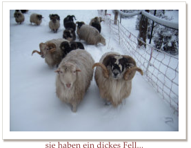 sie haben ein dickes Fell...