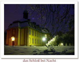 das Schlo bei Nacht