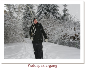 Waldspaziergang