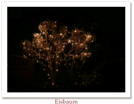 Eisbaum